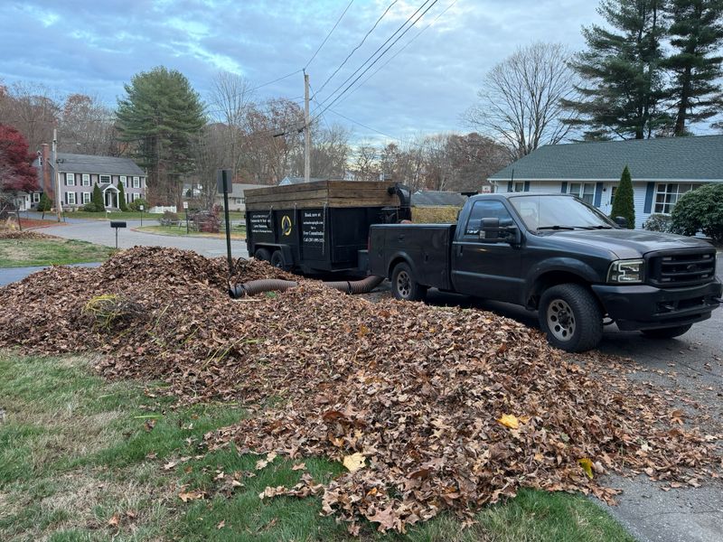 Spring & Fall Clean ups