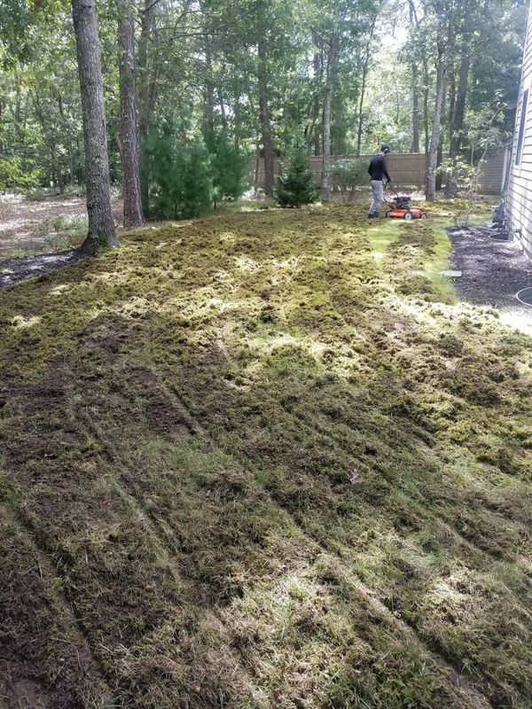 Fall and Spring Clean Up