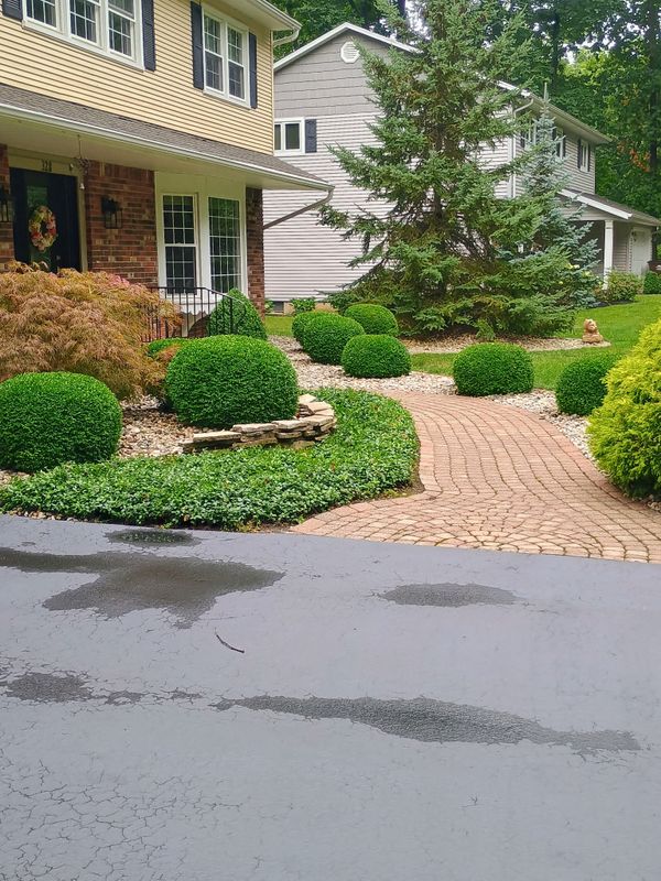 Lawn Care and Maintenance