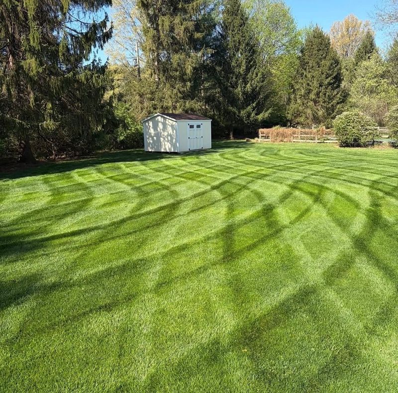 Lawn Maintenance