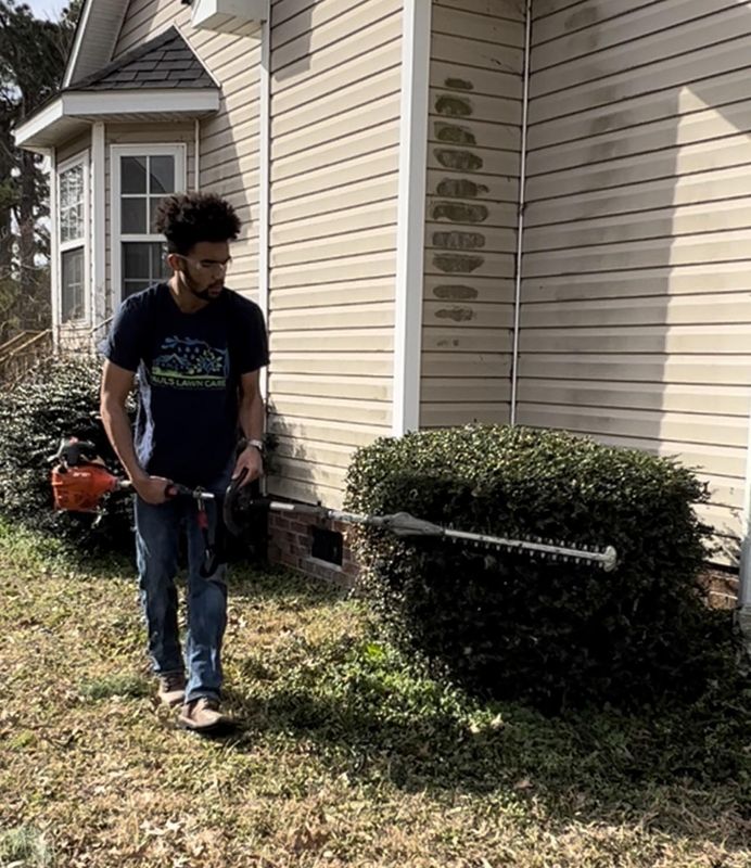 trimming shrubs/small trees