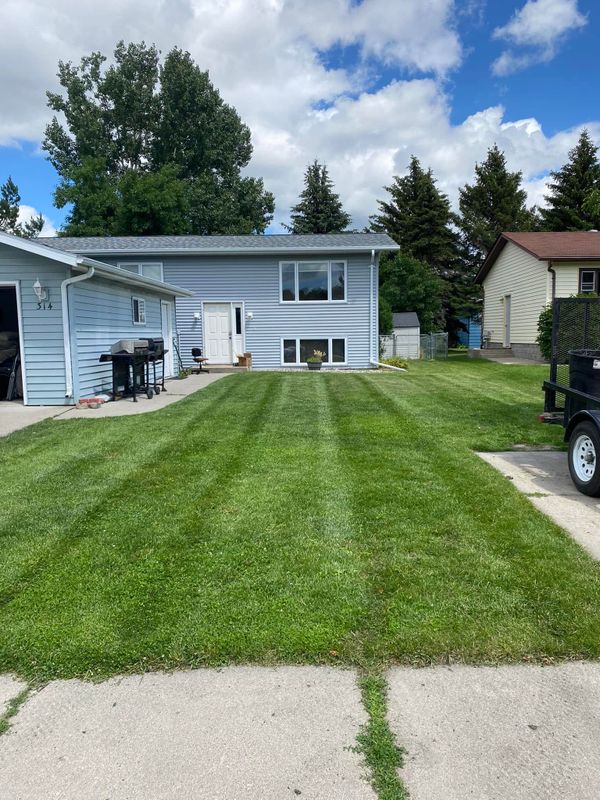 Lawn Care & Maintenance