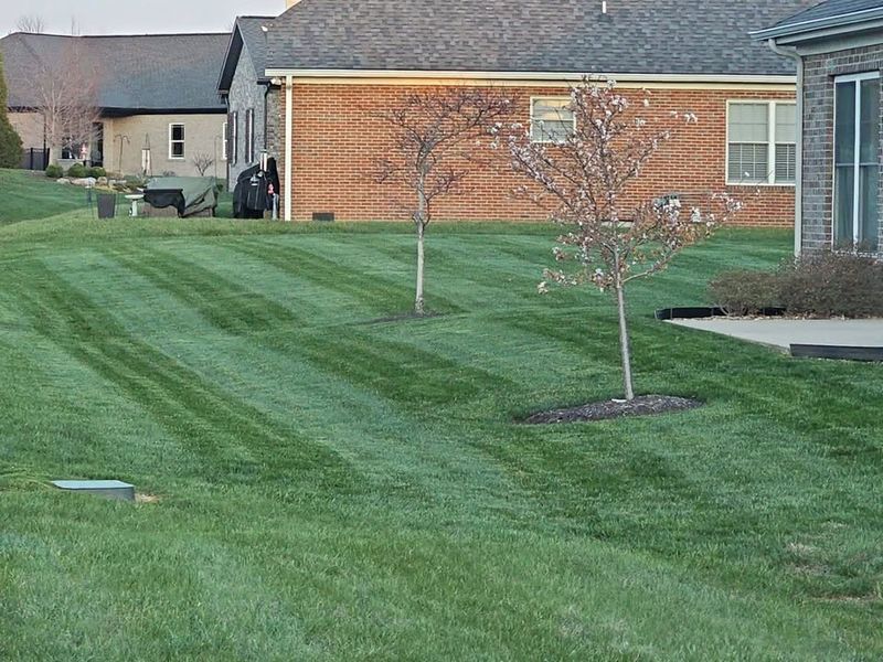 Lawn Maintenance Service