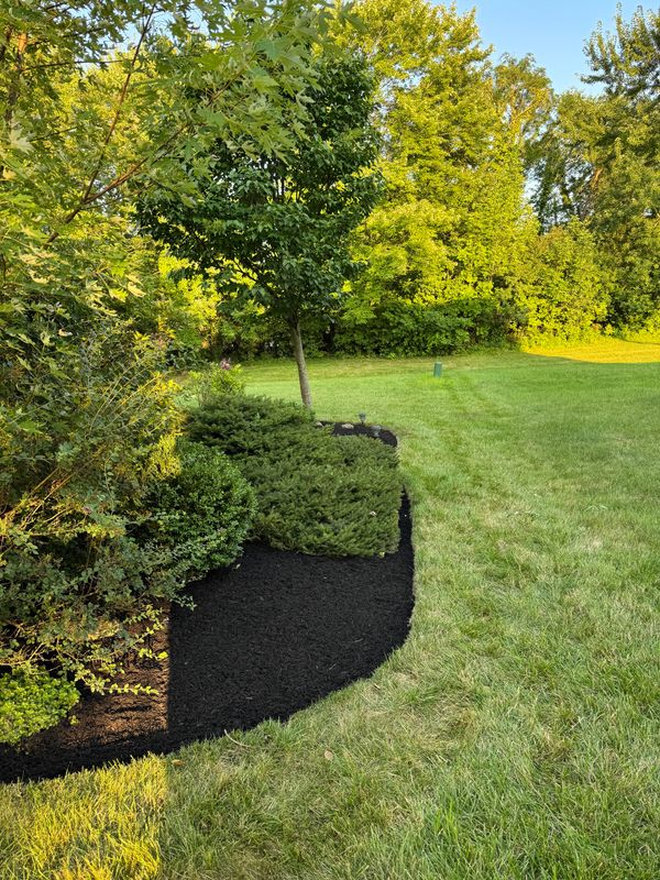 Shrub Trimming