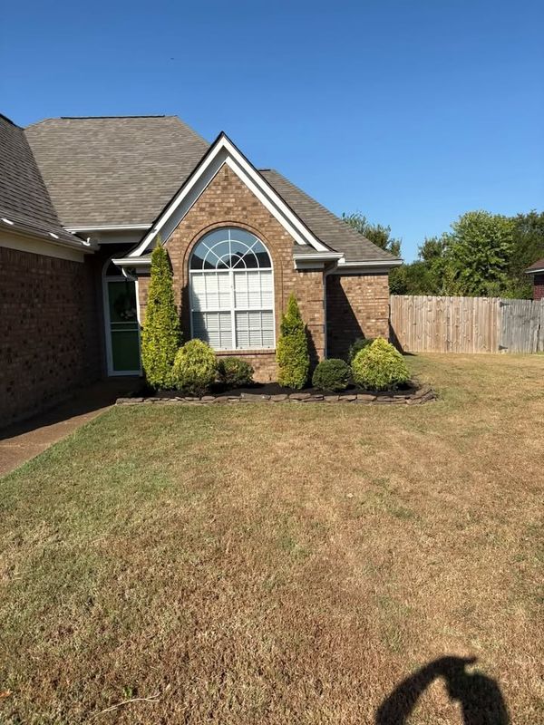 Lawn Maintenance