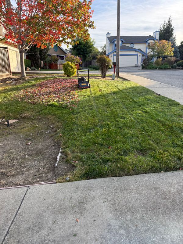 Landscaping