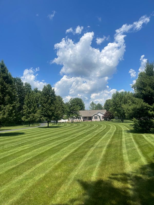 Mowing