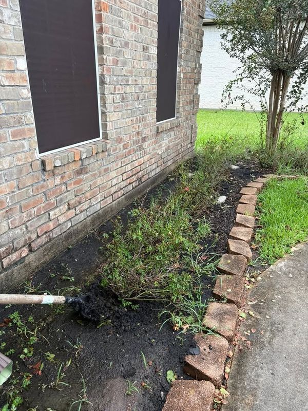 Lawn Maintenance