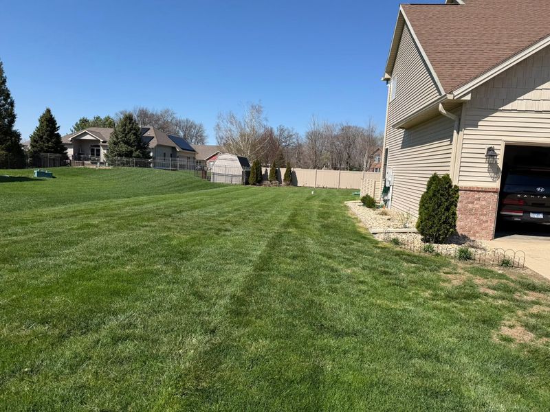 Lawn Maintenance