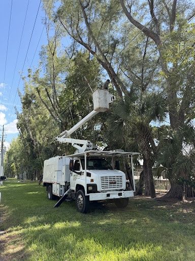 Tree Trimming