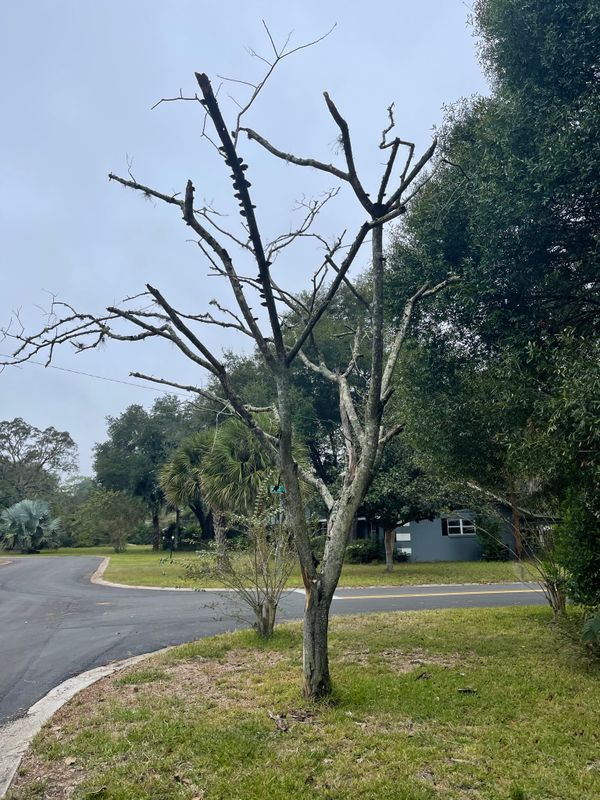Debris Cleanup