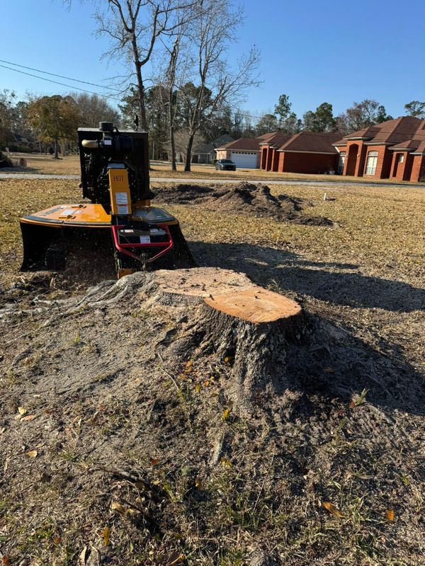 Forestry Mulching