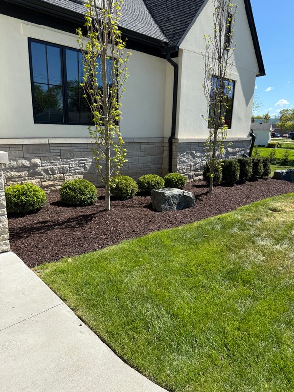 Shrub Trimming