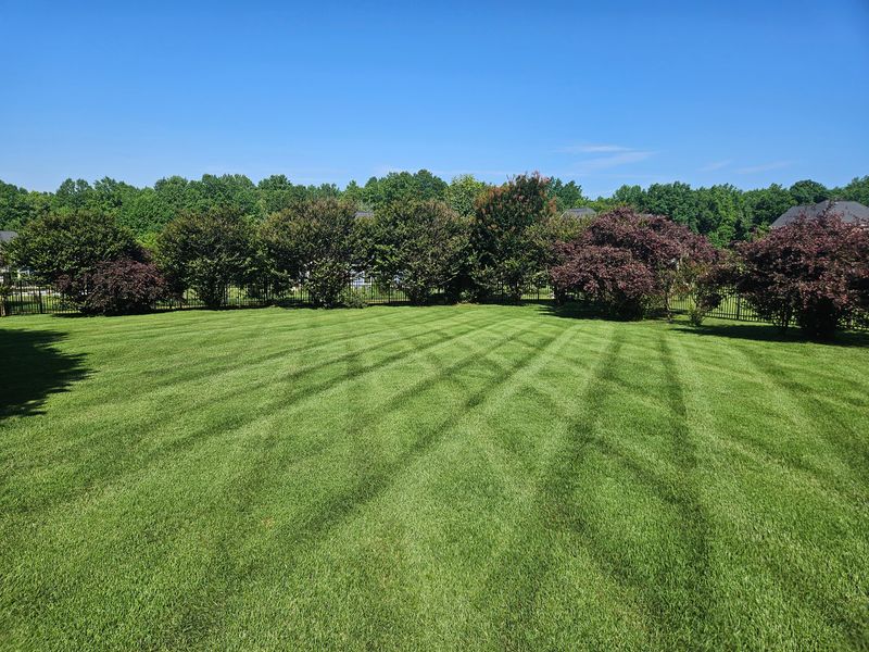Mowing