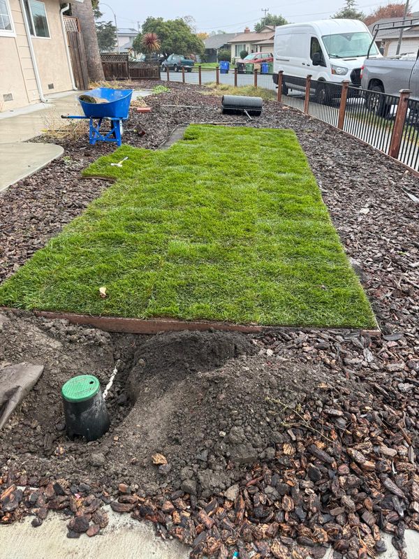 Landscaping