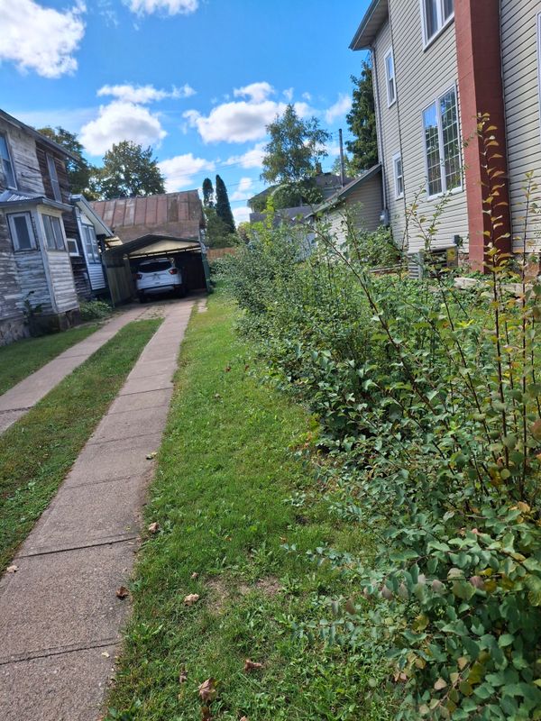Hedge Trimming