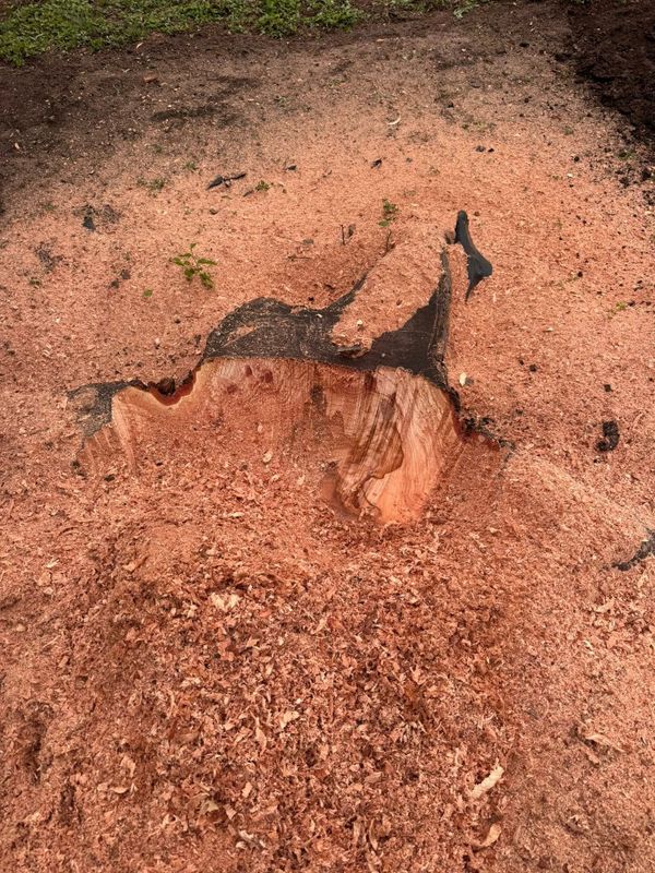 Stump Grinding