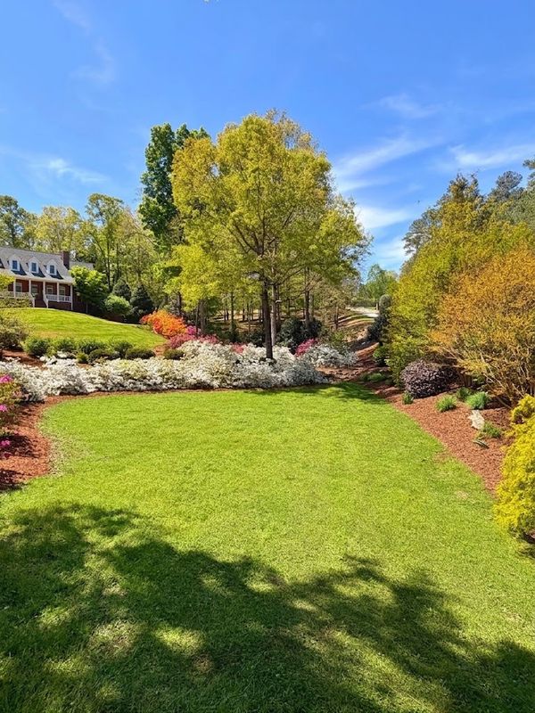 Landscape Design & Installation