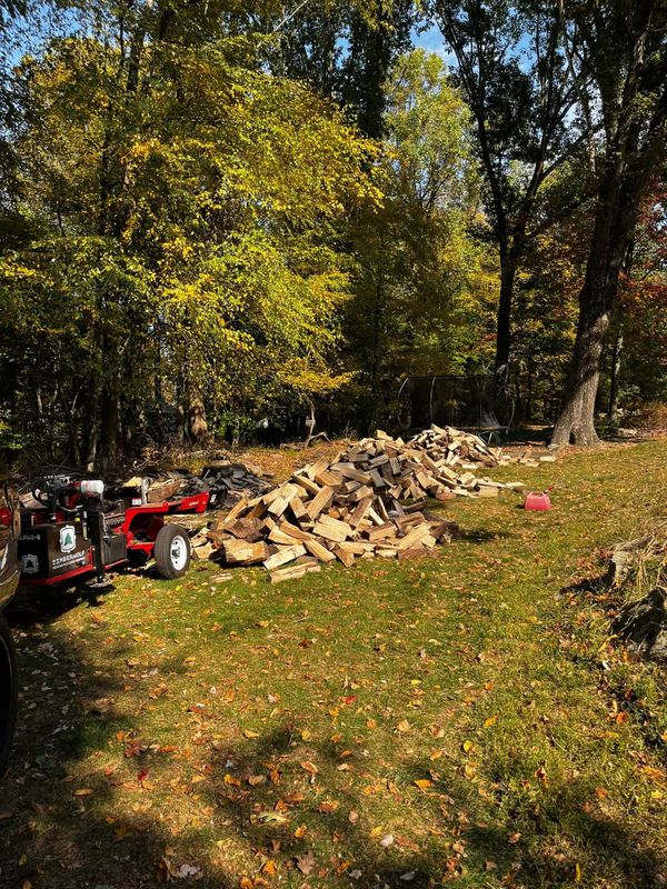 Tree Removal