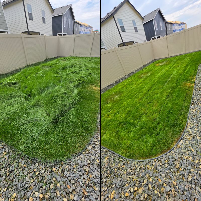Lawn Mowing