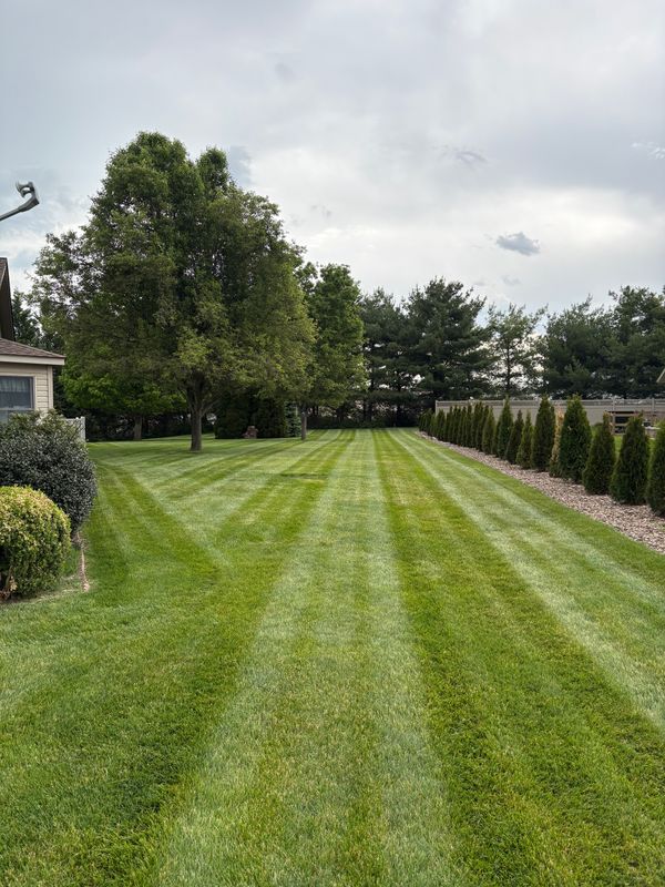 Mowing