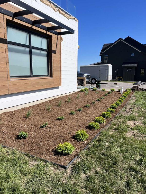 Mulch/Plant Installation