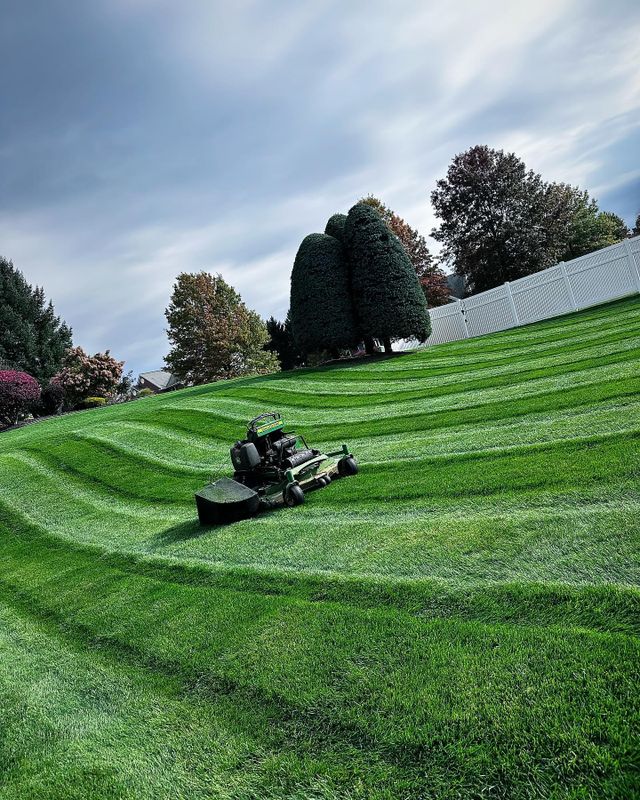 Landscaping