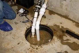 Basement Water Solutions: Expert