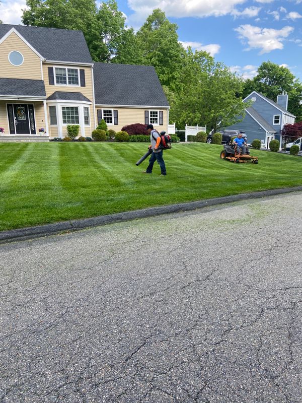 Landscaping
