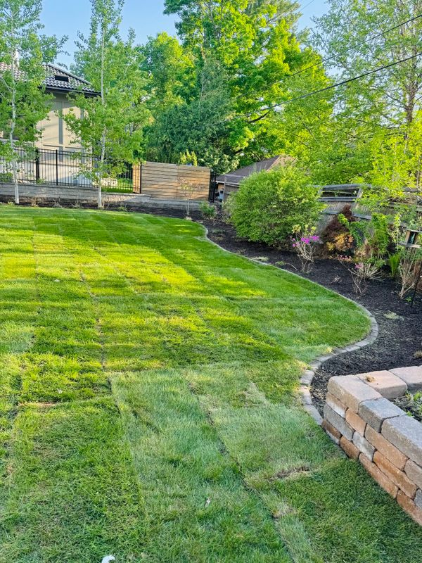 Sod Installation