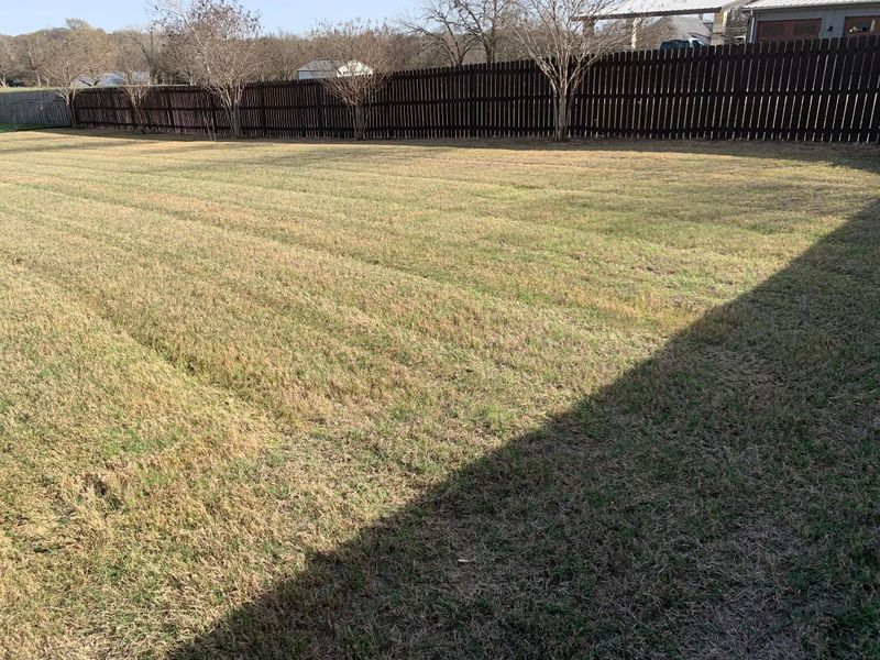 Lawn Care