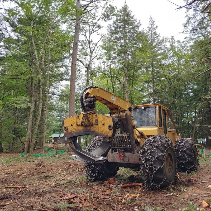 Tree Services