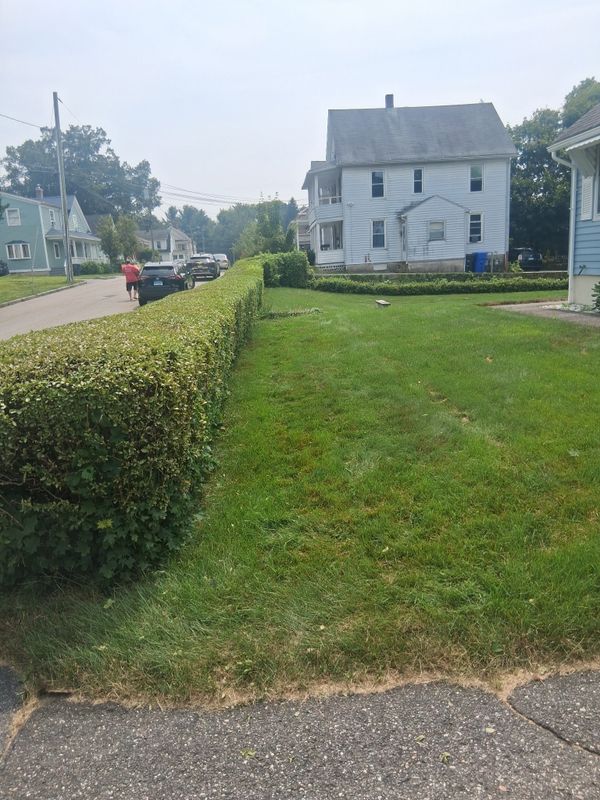 Mowing