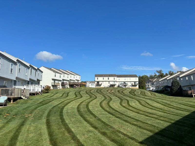 Lawn Maintenance