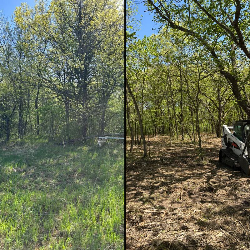 Underbrush Clearing