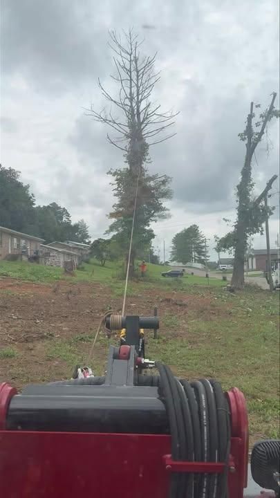 Emergency Tree Care