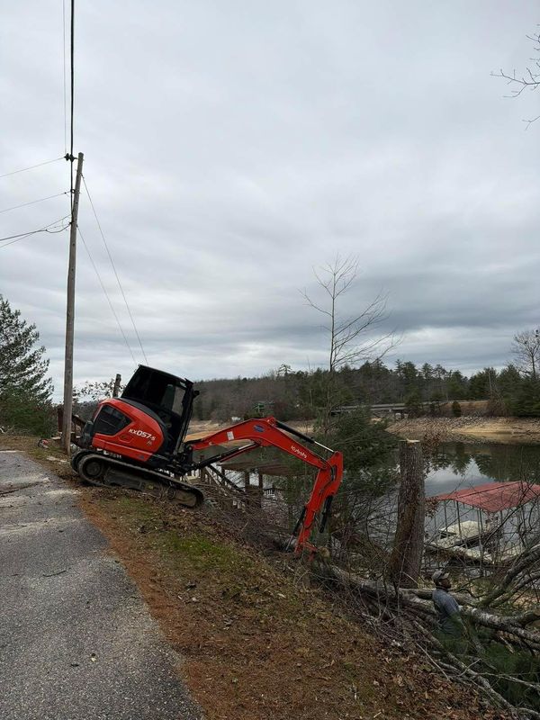 Tree Removal