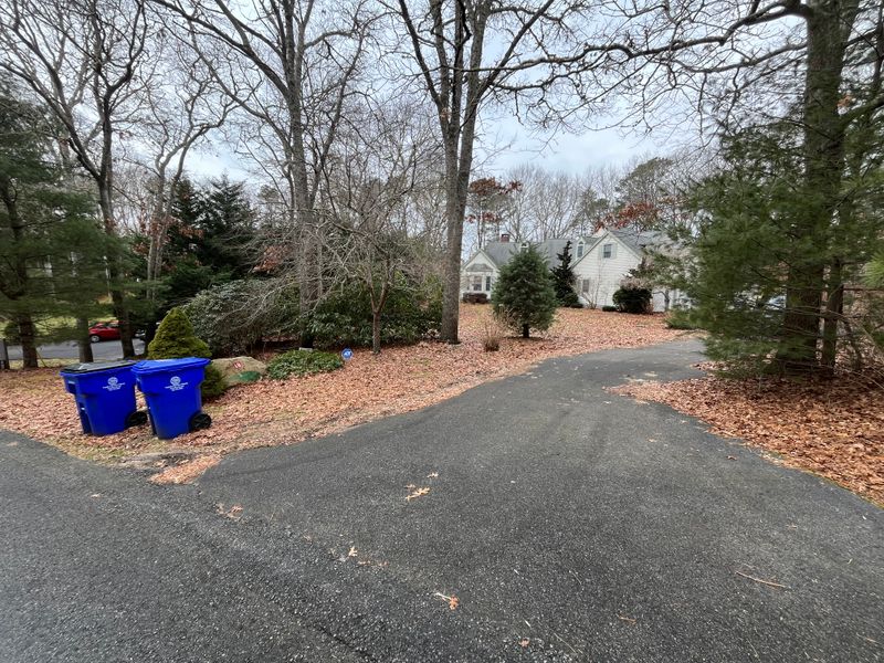 Fall CleanUp