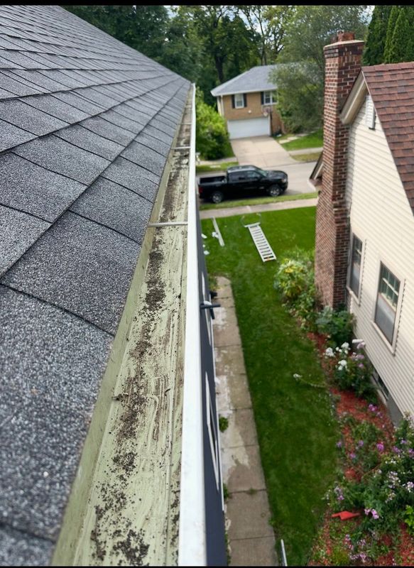 Gutter Cleaning