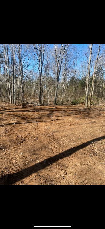 Land Clearing & Bushogging