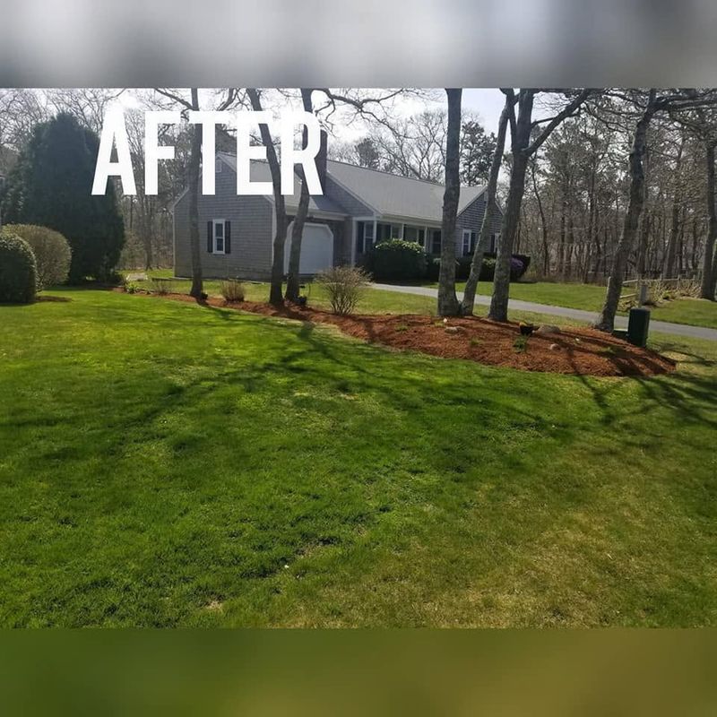 Landscape Design