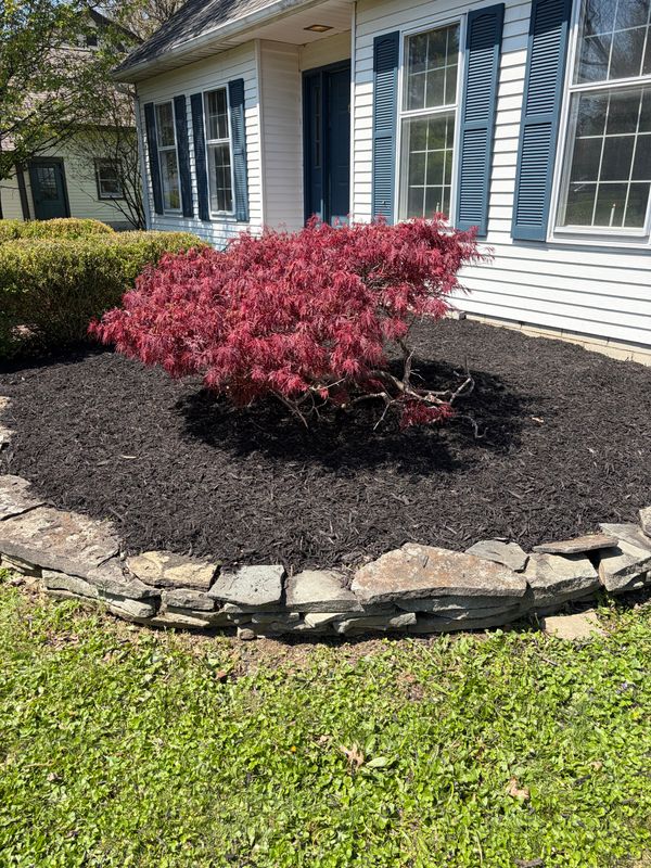 Mulch Installation