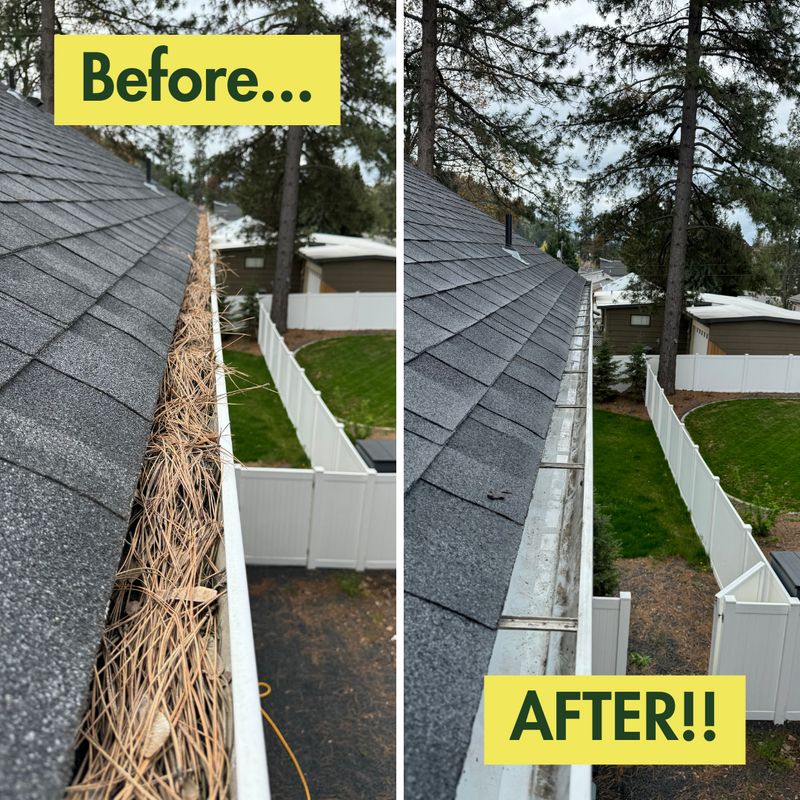 Before & After Photos