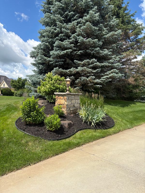 Tree and Shrub Care