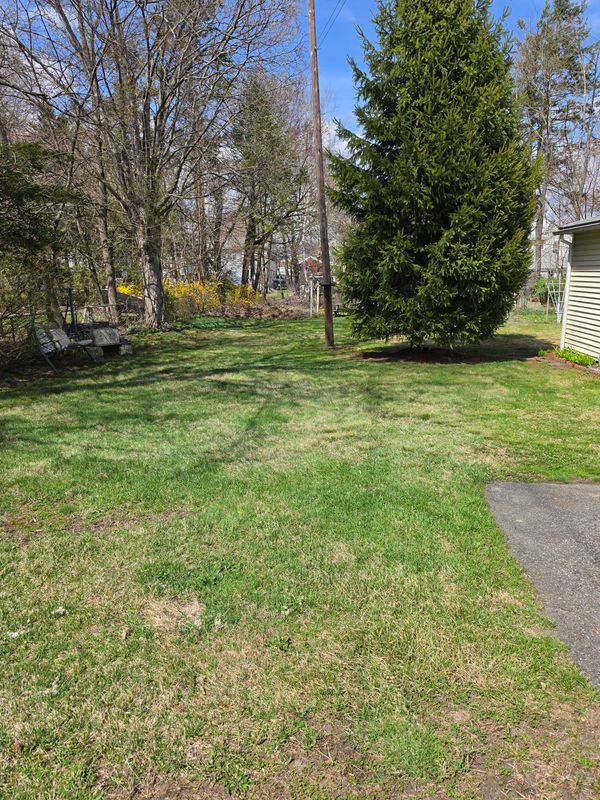 Spring & Fall Cleanups