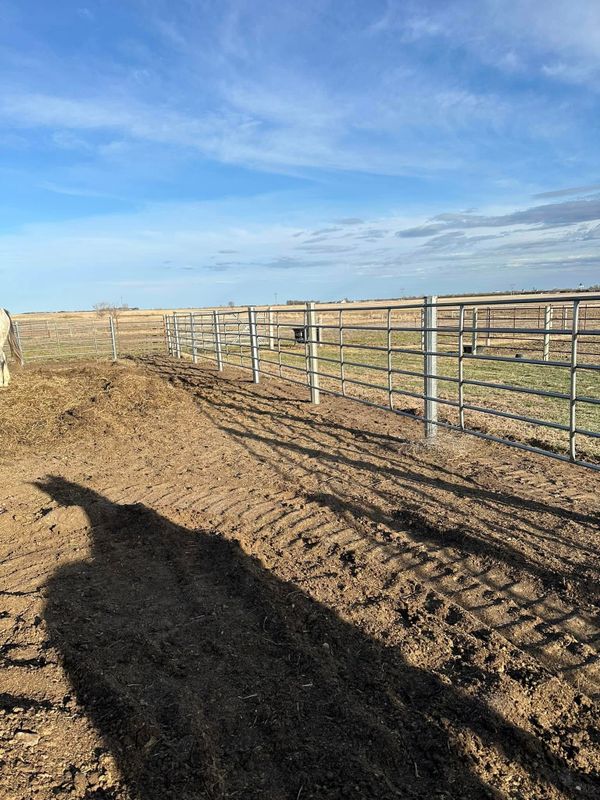 Corrals & Pens