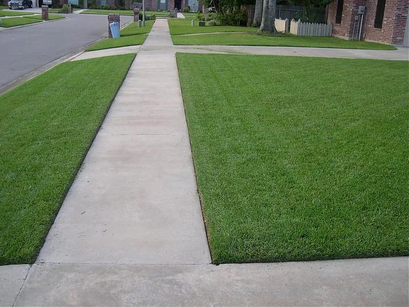Lawn Maintenance