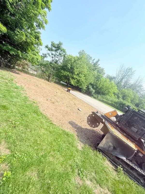 Land Clearing