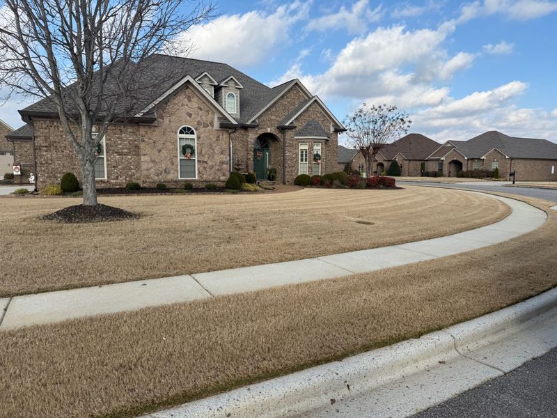 Lawn Maintenance