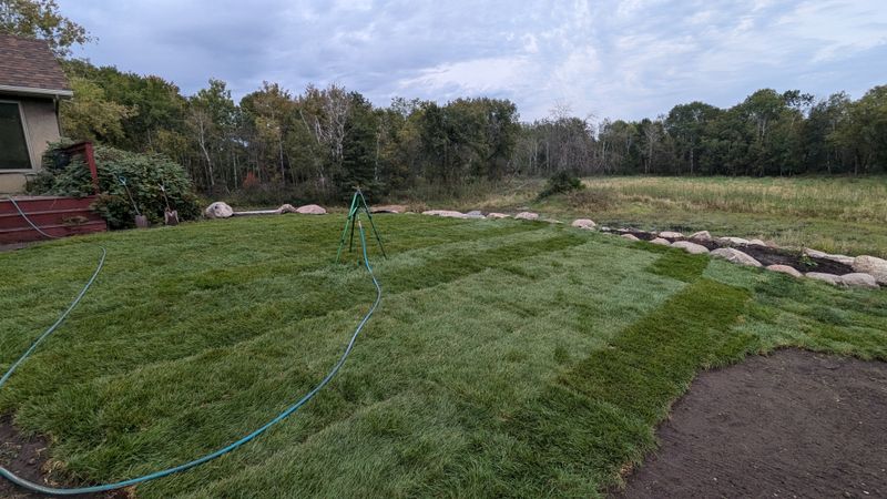 Sod Installation